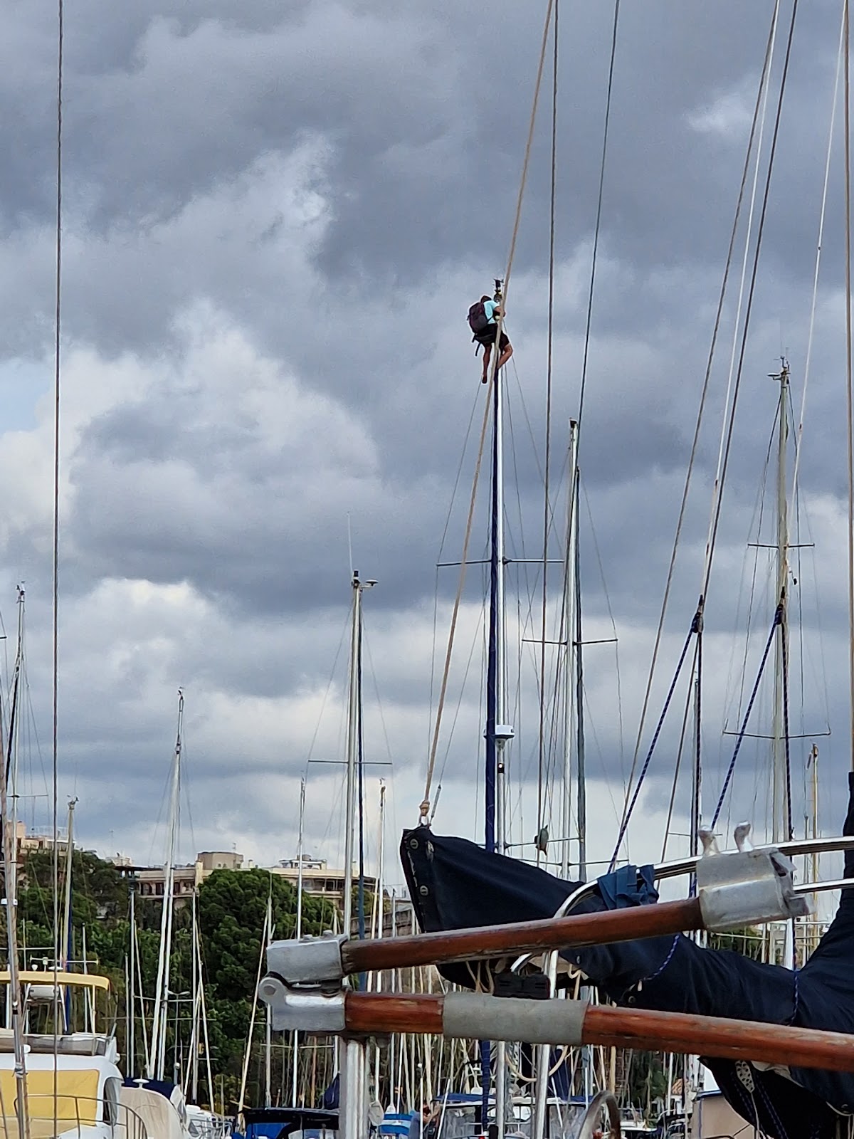 Photo de l’escale Palma
