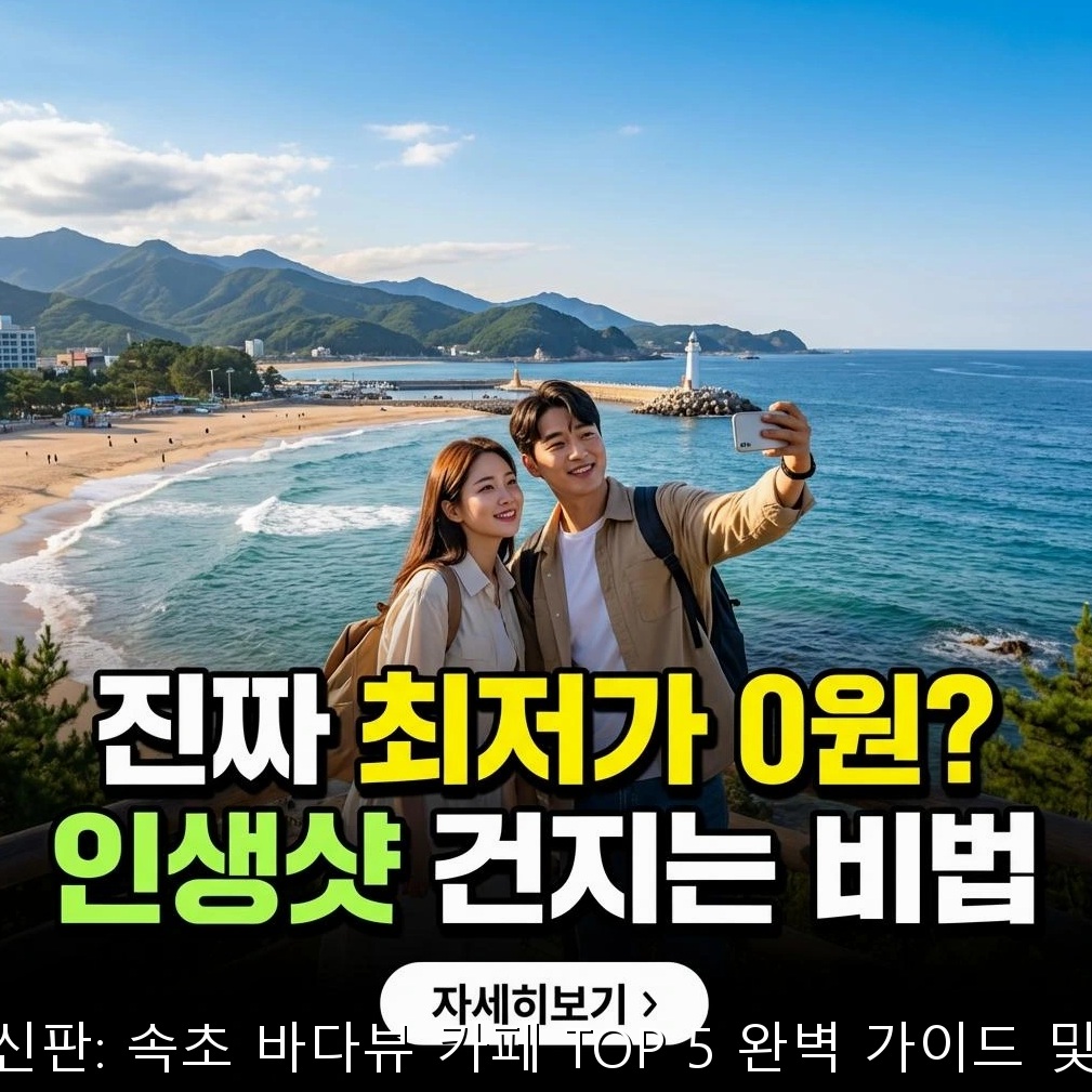 2026년 최신판: 속초 바다뷰 카페 TOP 5 완벽 가이드 및 방문 전략