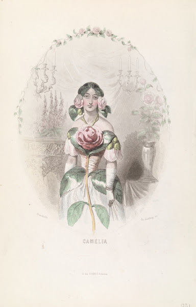 Camelia 1840s