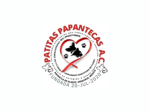 Patitas papantecas a.c - portada