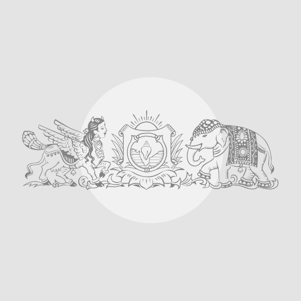 Goddess Draped in Currency Notes in Shocking Telangana Puja