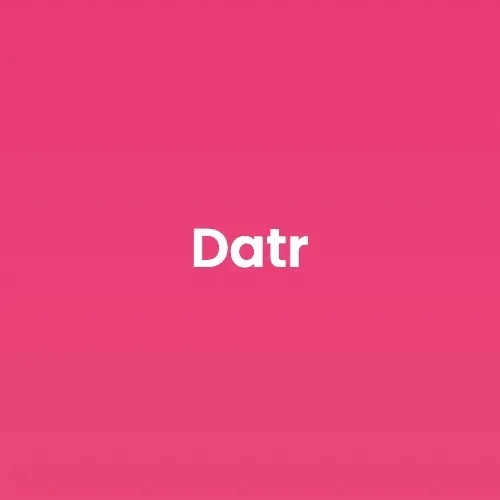 Captura de Datr AI