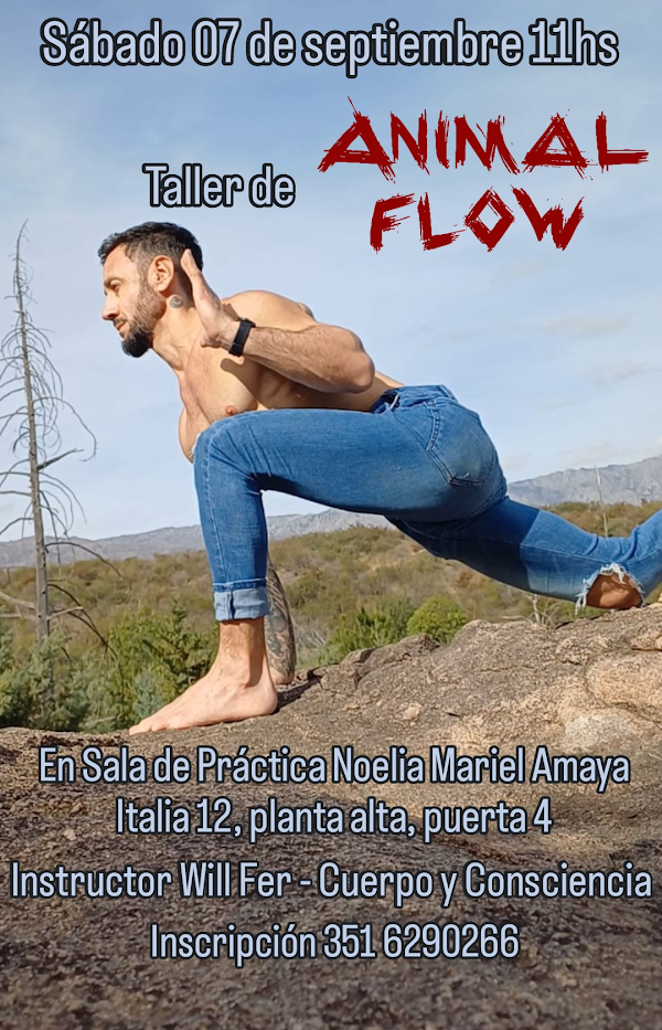 Taller de Animal Flow