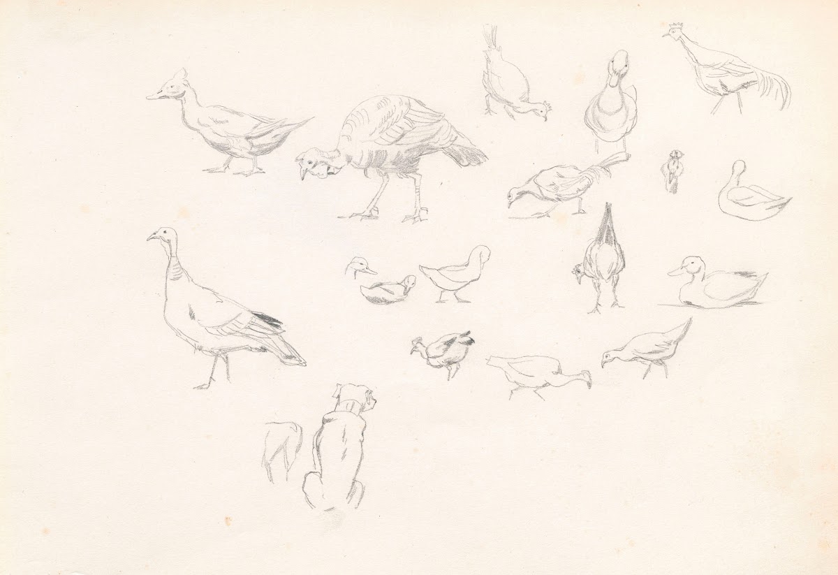 Poultry and a dog 1881