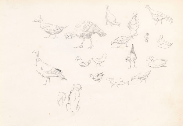 Poultry and a dog 1881