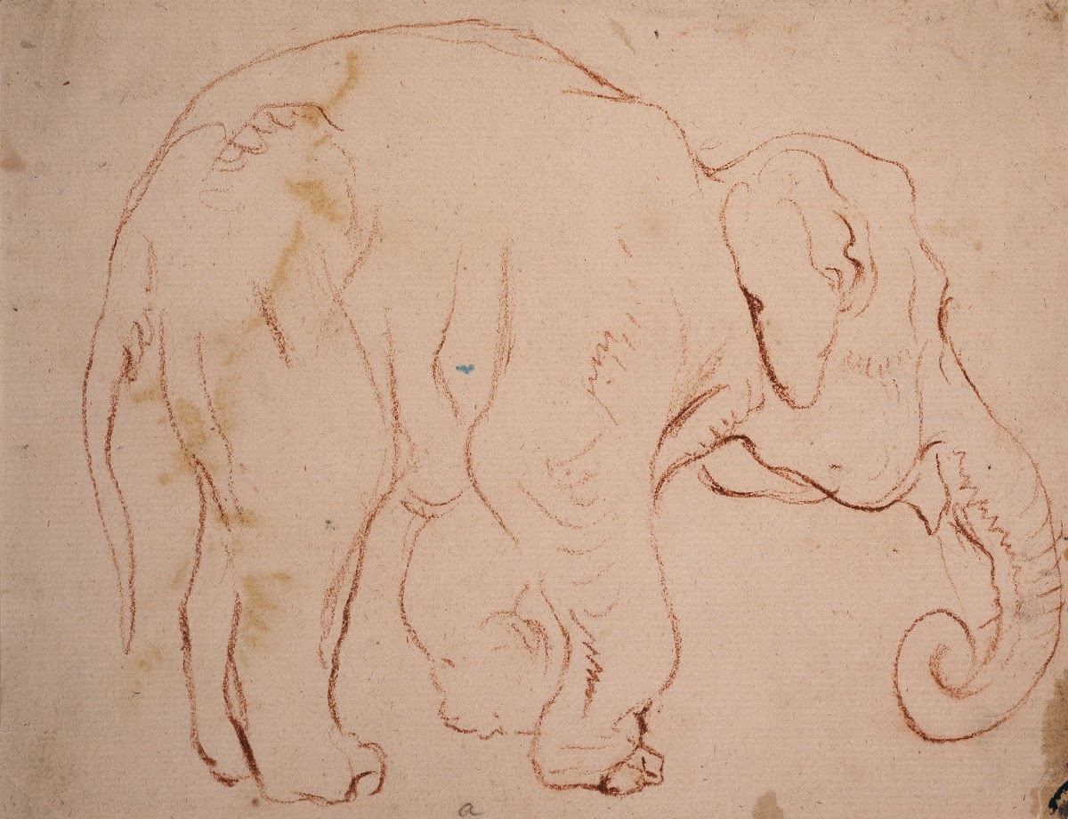 Standing elephant ca 1792