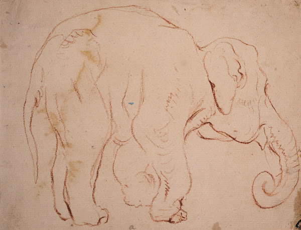 Standing elephant ca 1792