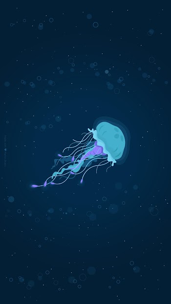Jellyfish Digital Art Picture