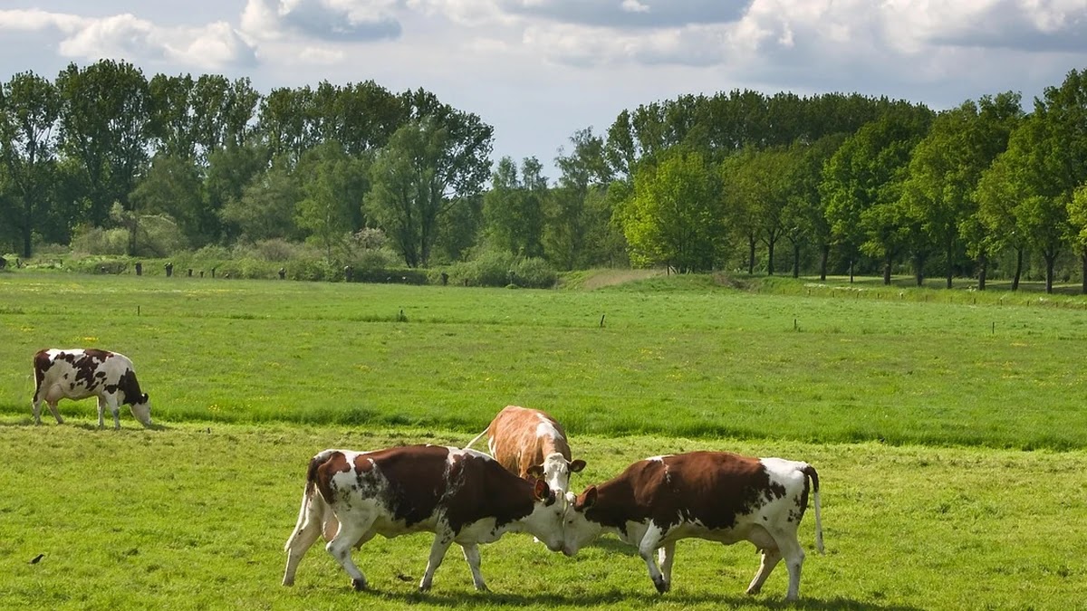 애착 유형별 갈등 해결 방식과 관계 회복 방법 비교