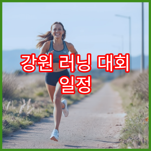 강원 러닝 대회 일정 자연형 코스 정보