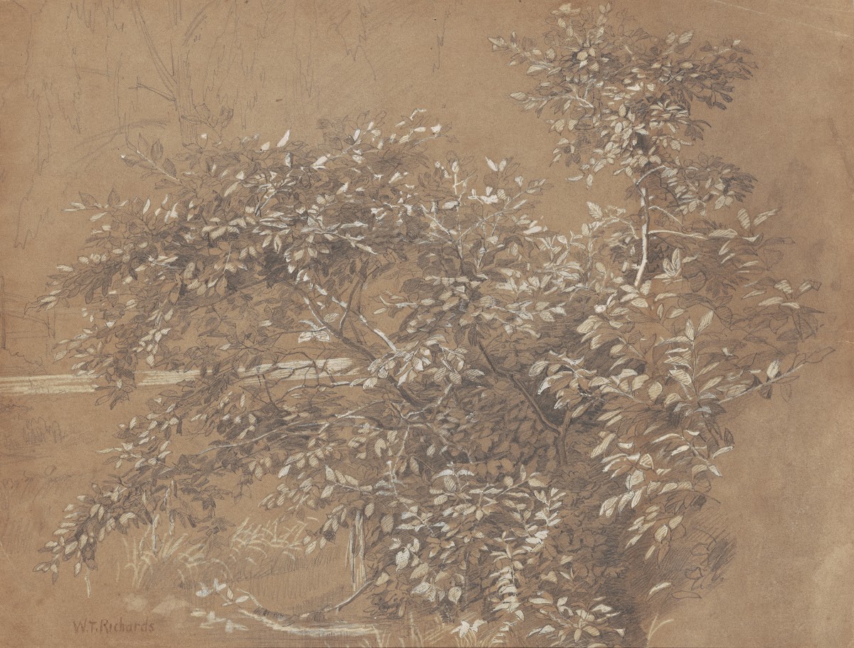Foliage late 19th century