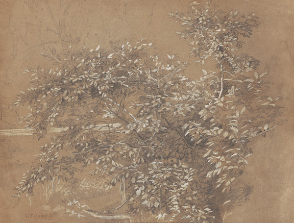 Foliage late 19th century