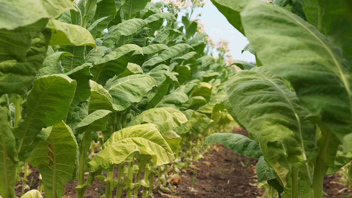 2026년 정부지원금 신청 조건