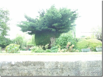 DSCF0708