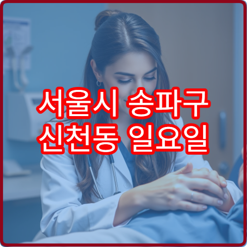 서울시 송파구 신천동 일요일 산부인과 진료 병원 여성 질환