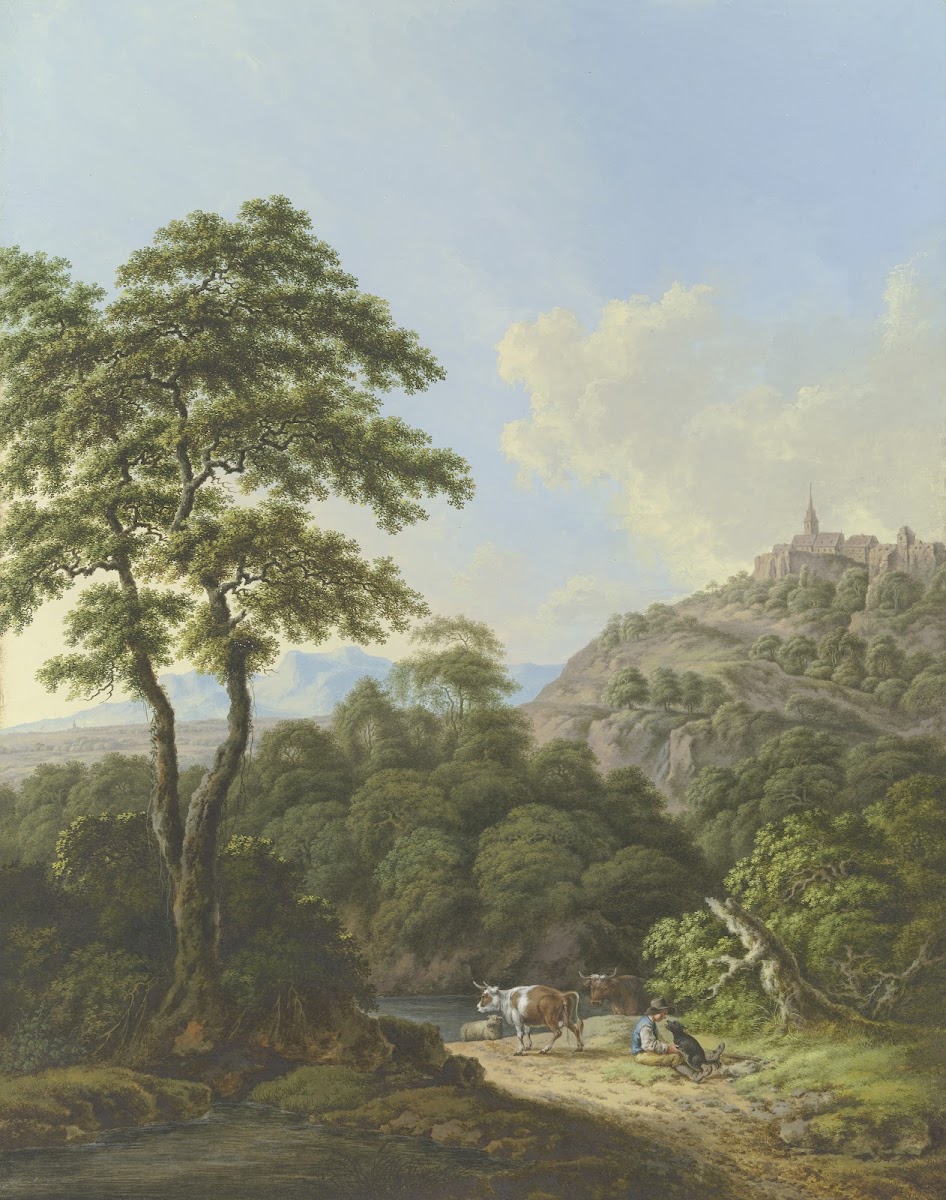 Reiche Landschaft mit Wasser und Wald