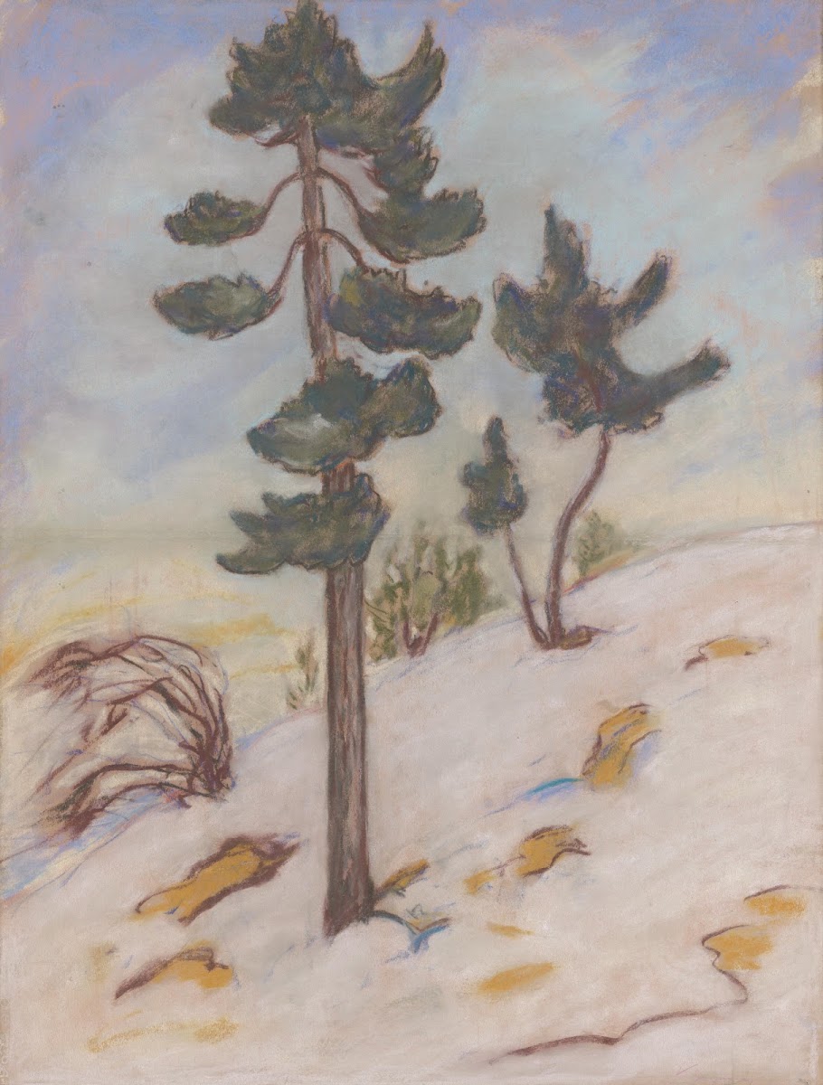 Late Autumn in the High Tatras 19251930