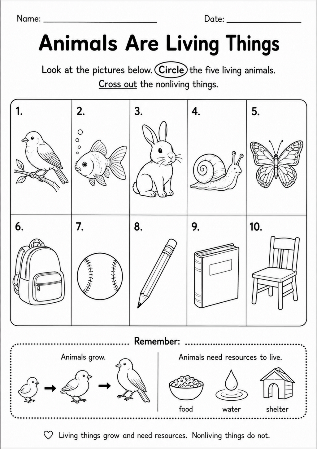 Animals Are Living Things