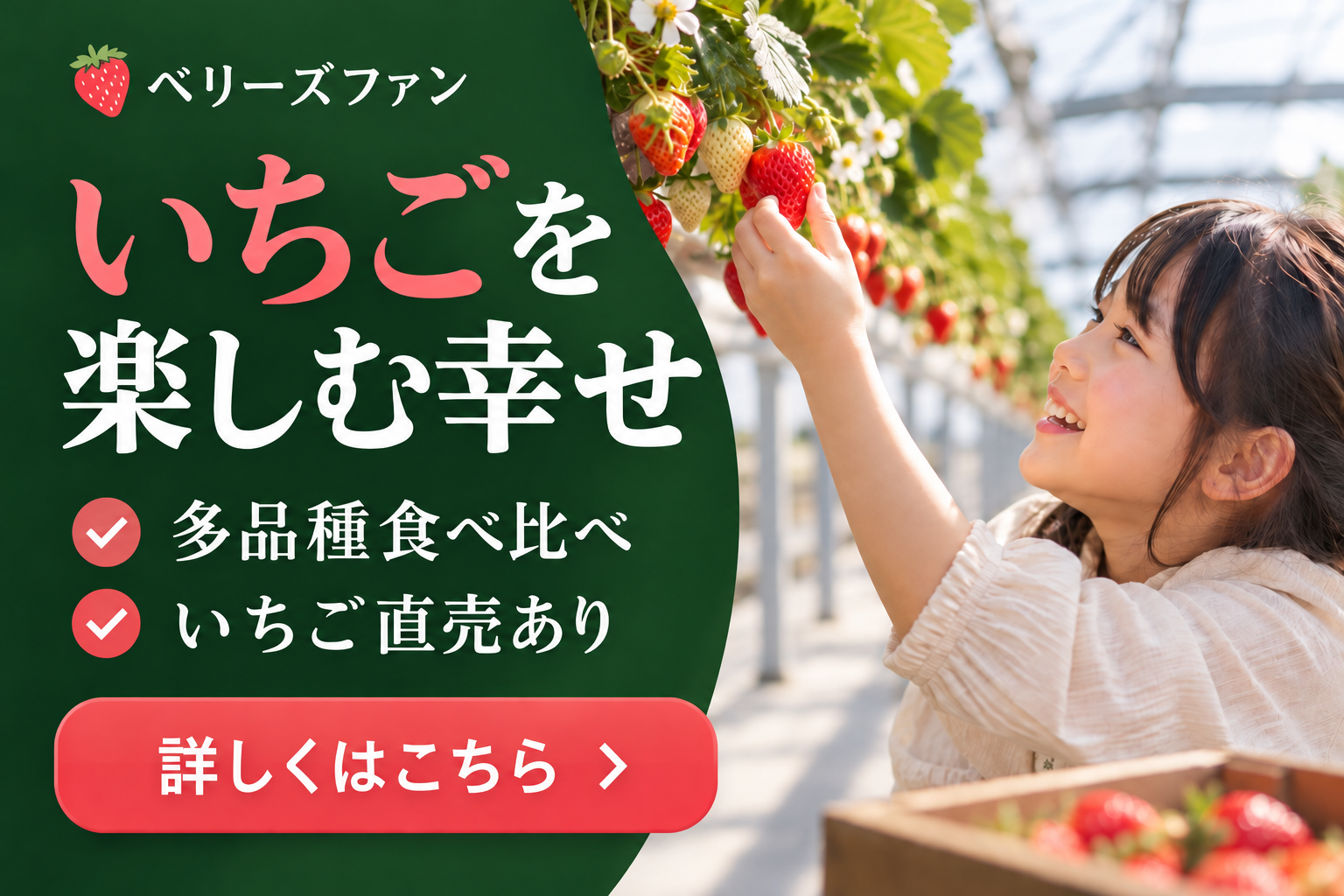 栃木 いちご狩り 時期バナー