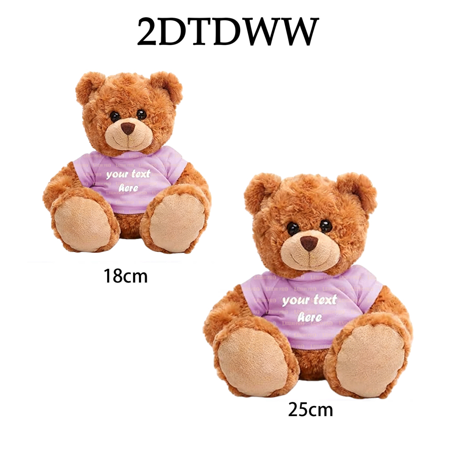 2D Teddy Doll