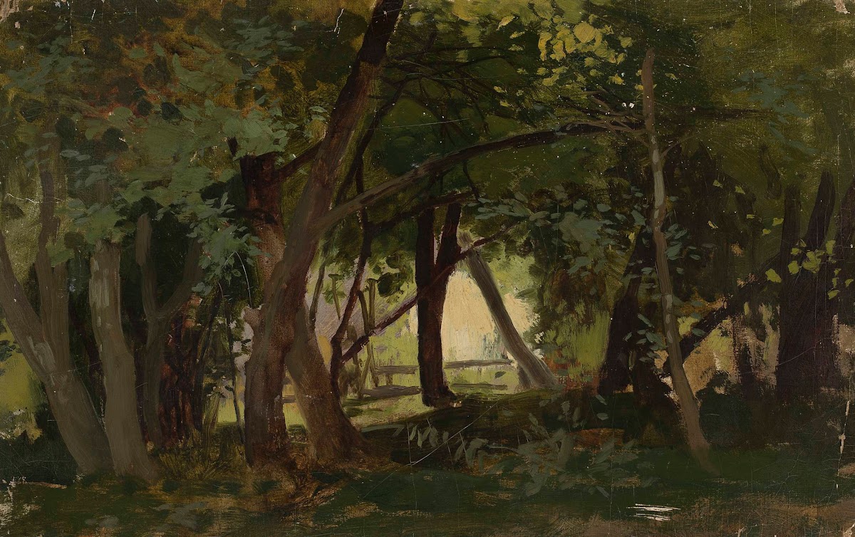 Landscape study
