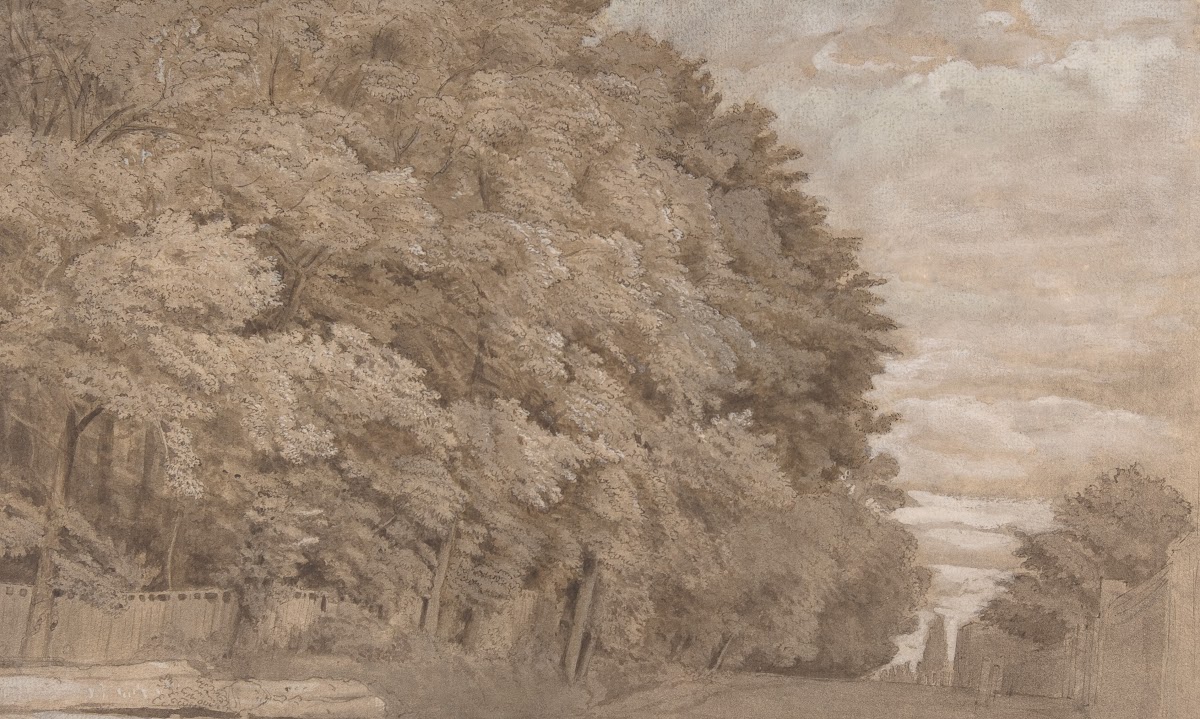 Large Forest 17th century