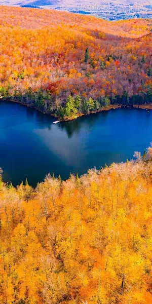 Autumn, Heart, Vermont, Lake, Foliage 5K Wallpaper Background