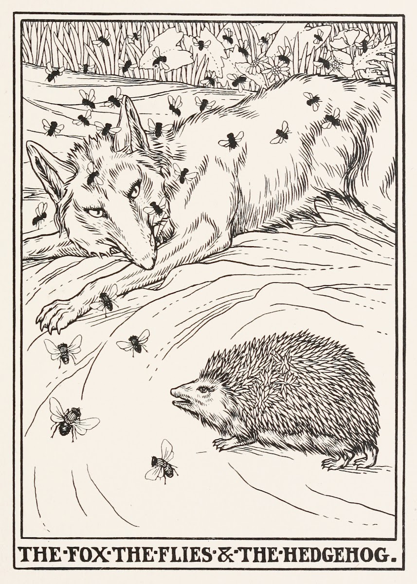 The Fox the Flies and the Hedgehog 1900