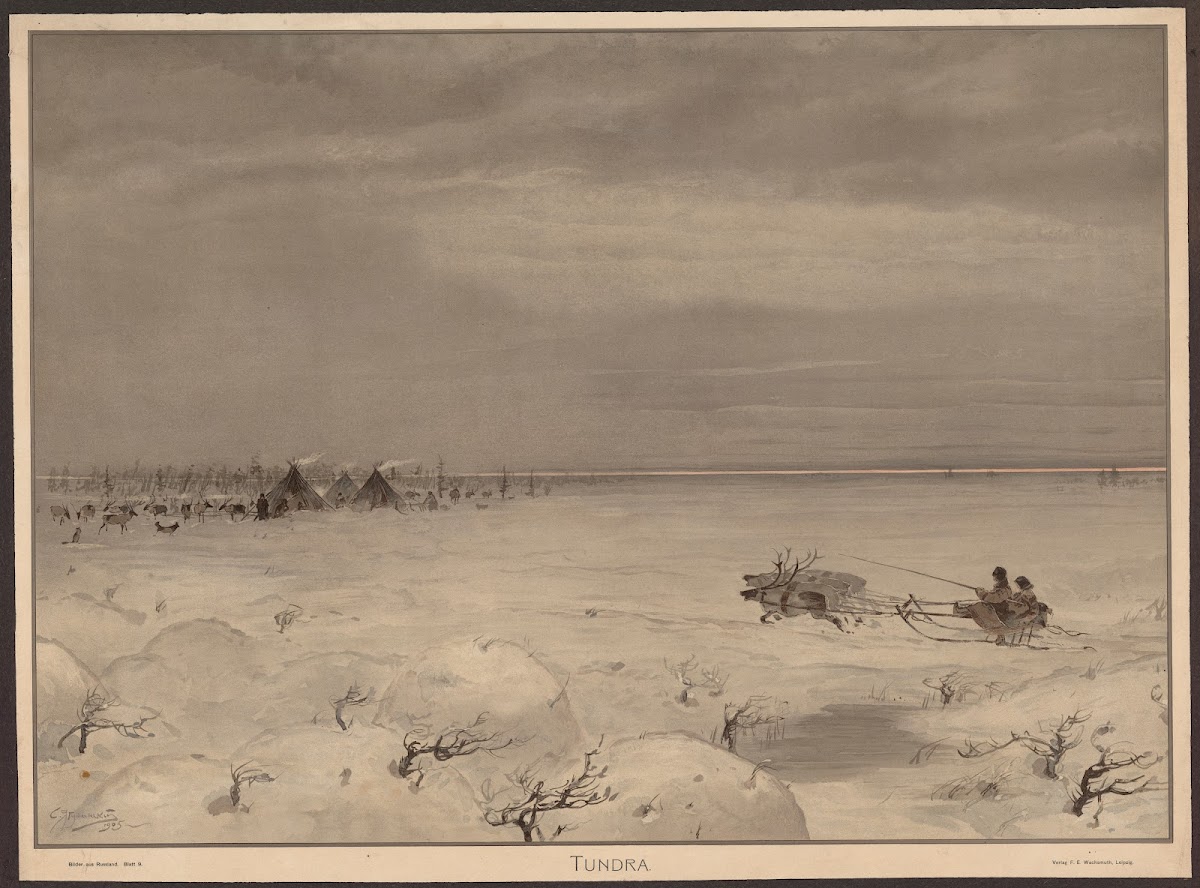 Tundra 1905