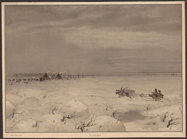 Tundra 1905