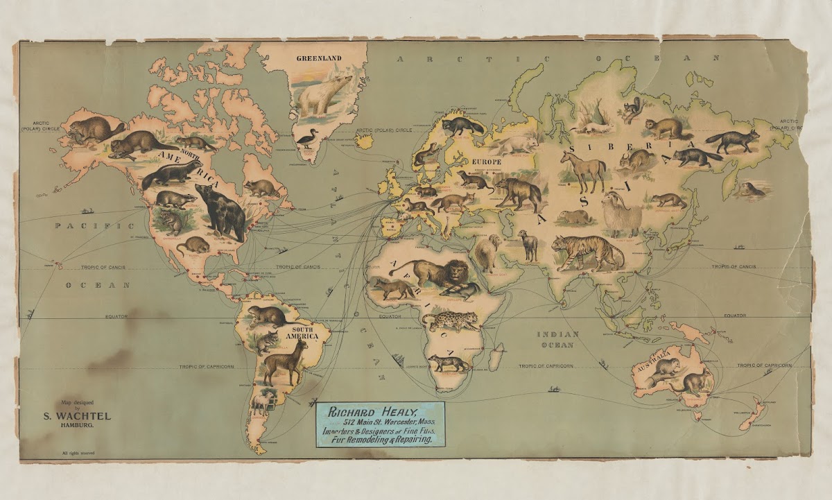 Synoptical Map Of Countries Producing The Most Expensive Furs For Furriers 1909