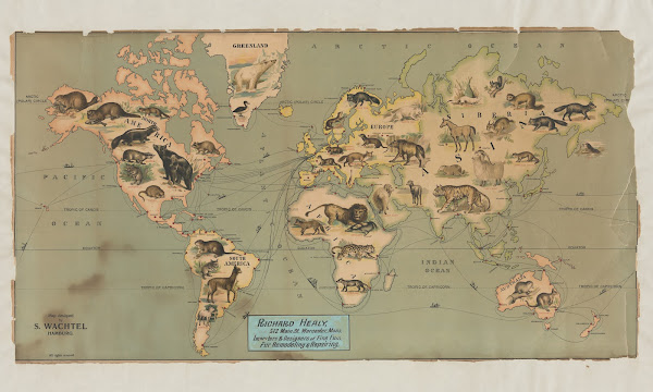 Synoptical Map Of Countries Producing The Most Expensive Furs For Furriers 1909