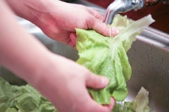 Hành tây rửa sạch, cắt hạt lựu. Rau xà lách rửa sạch, để ráo.