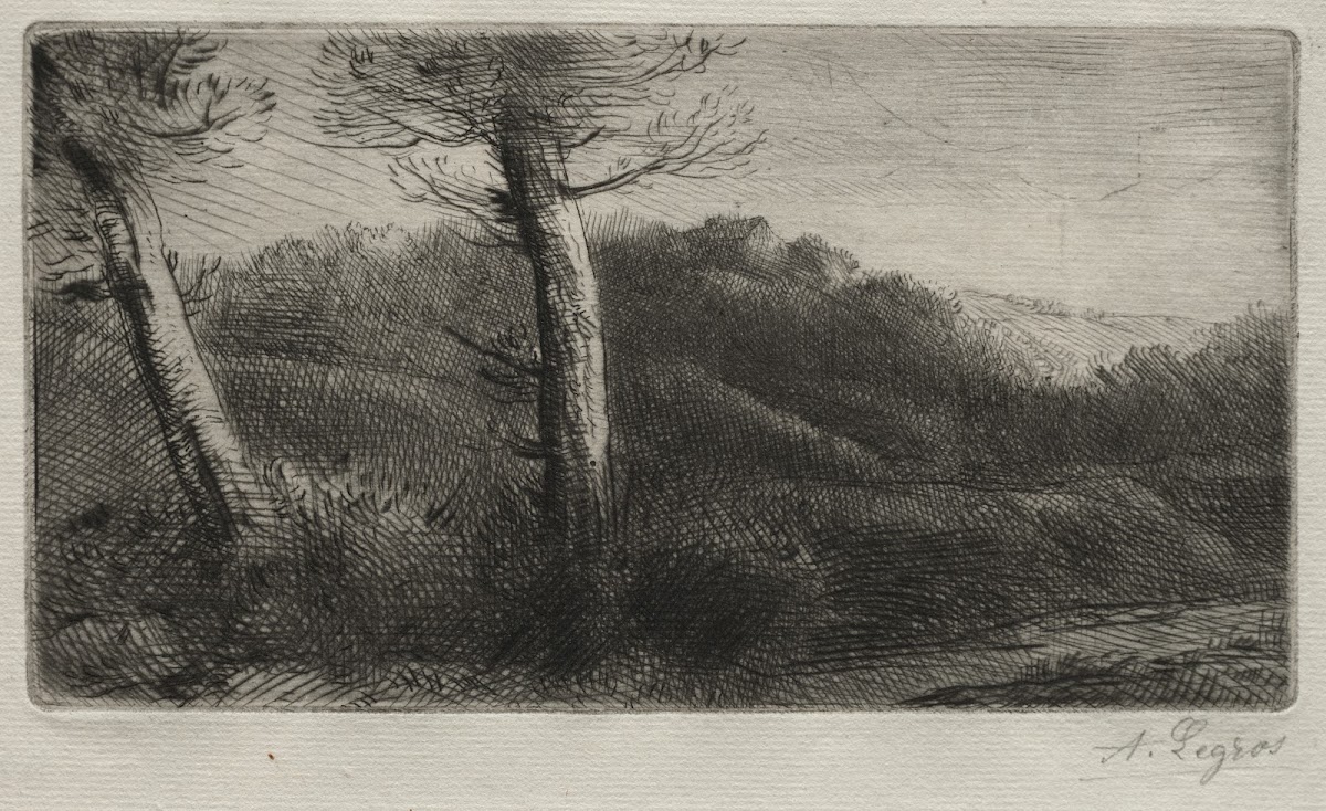 Sunset c 18571911