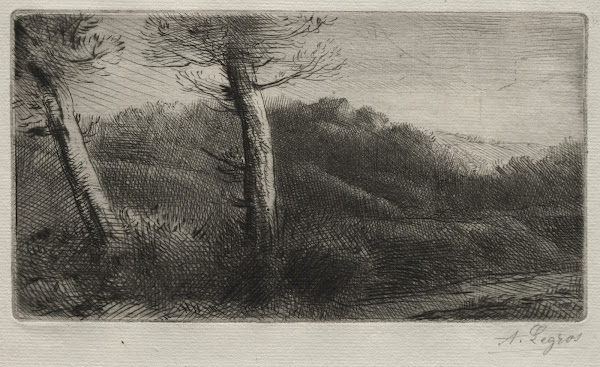 Sunset c 18571911