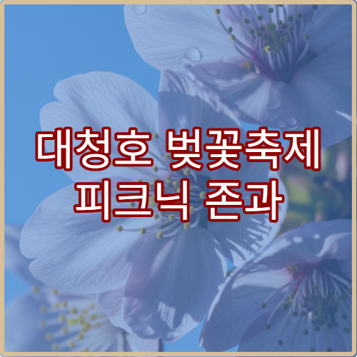 대청호 벚꽃축제 피크닉 존과 화장실 편의시설 위치