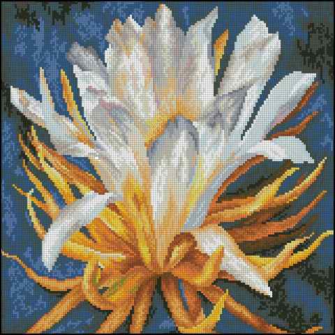 CMP 170240 Flower