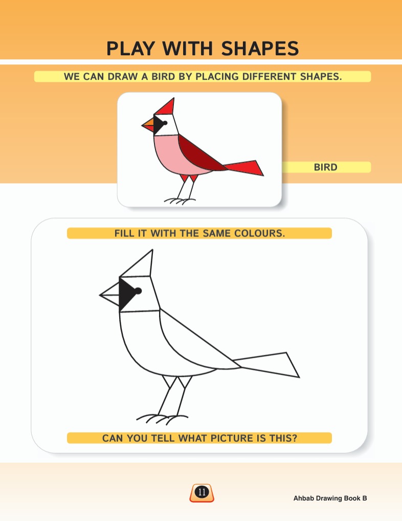 Drawing Book B - Activity Book