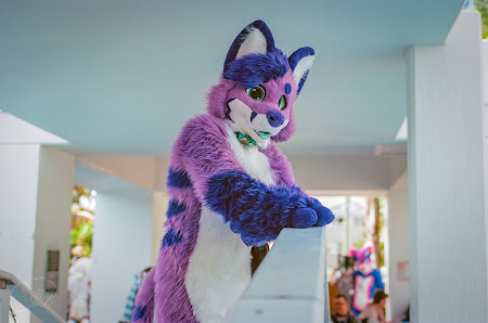 furdu-8-2.jpg