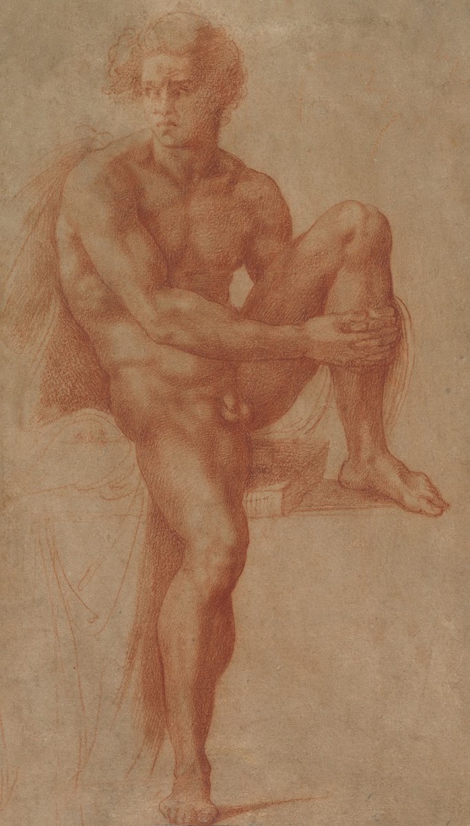 Seated Male Nude c 1516 1520