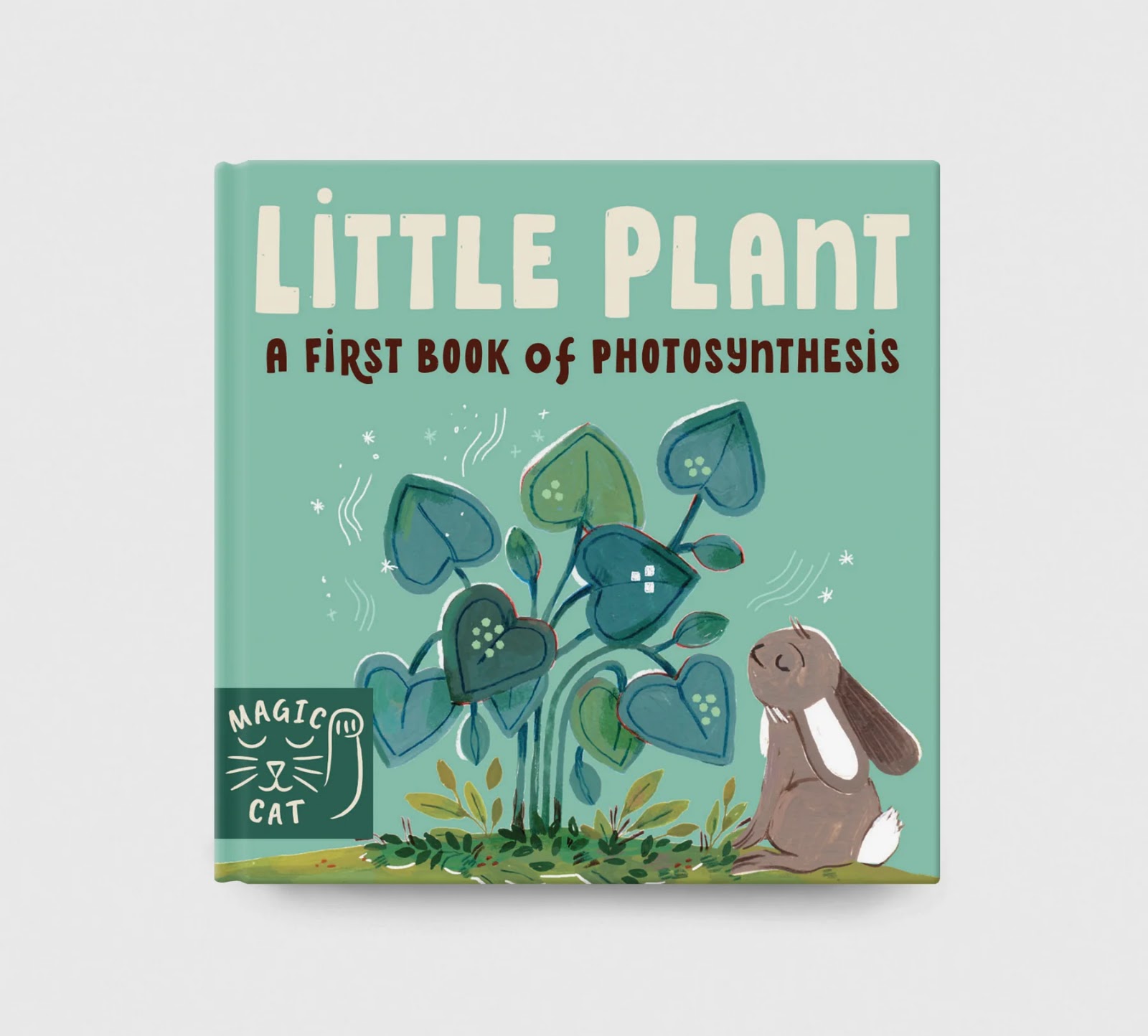 5 Minute Nature Story Box - thumbnail 3