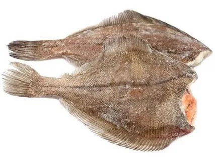 Камбала