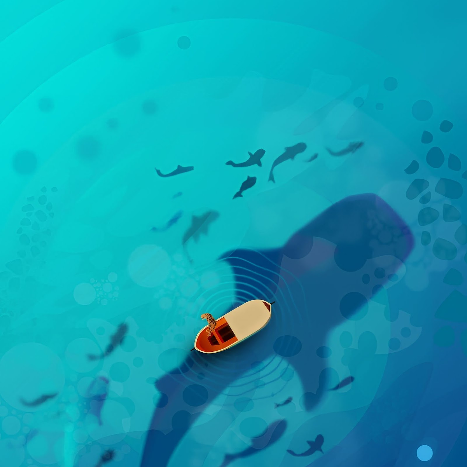 Download Whale Shark Under Tiny Boat 2K iPhone