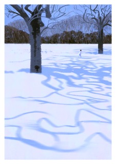 The snow