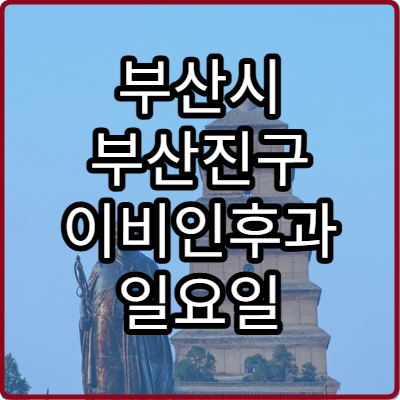 부산시 부산진구 이비인후과 일요일 진료 병원 감기 비염 주말 진료 가능한 곳