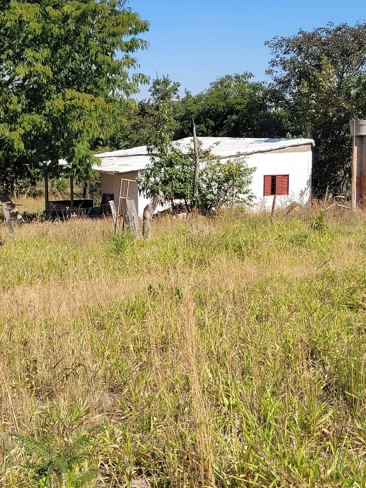 Fazenda em Santa Cruz de Goiás - GO 4