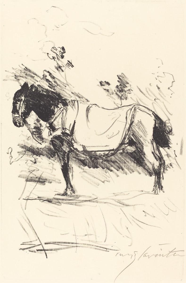 Riding Horse Reitpferd 1916