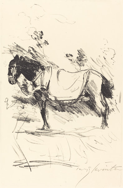 Riding Horse Reitpferd 1916