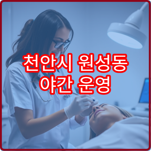 천안시 원성동 야간 운영 안과 병원 상세 정보