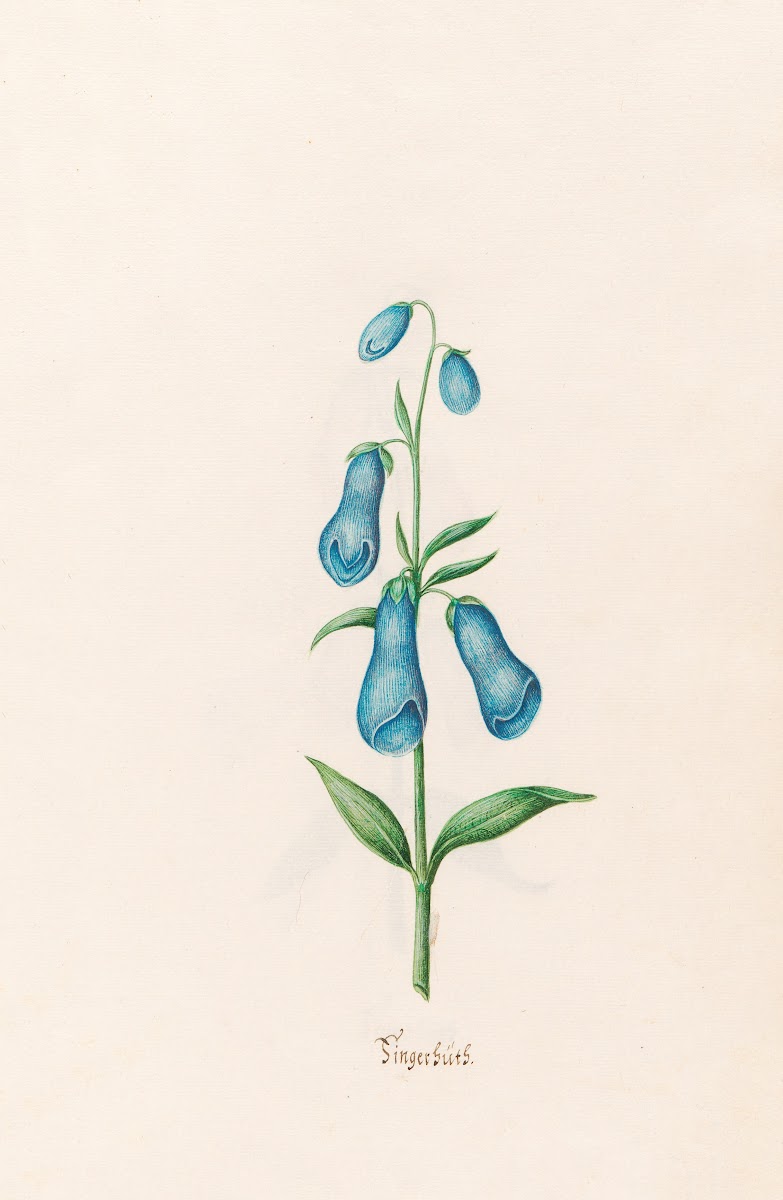 Fingerhüts 1692